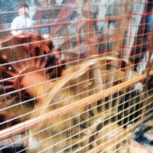 “taken before 2009”