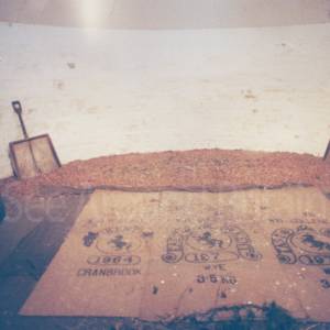 “taken before 2009”