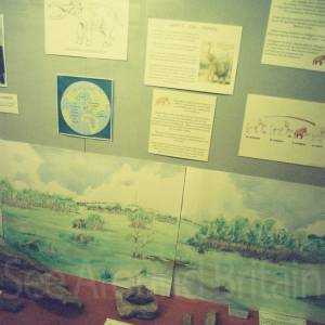 “taken before 2009  in the museum’s former location within converted fisherman’s cottages in the town centre”