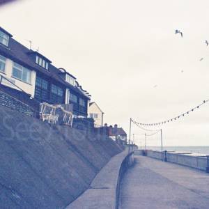 Photograph taken before 2009