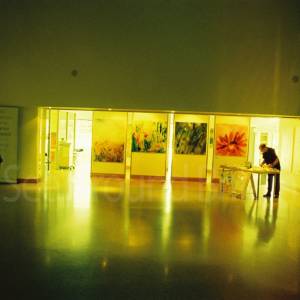 Taken before 2009