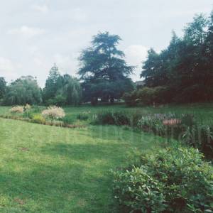 “taken before 2009”