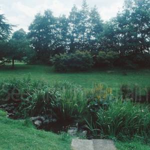 “taken before 2009”