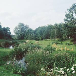 “taken before 2009”