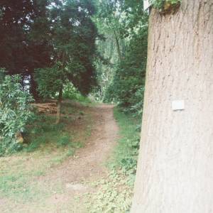 “taken before 2009”