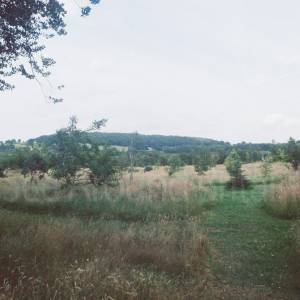 “taken before 2009”