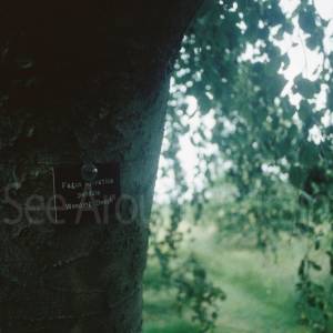 “taken before 2009”