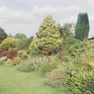 “taken before 2009”