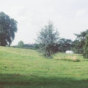 “taken before 2009”