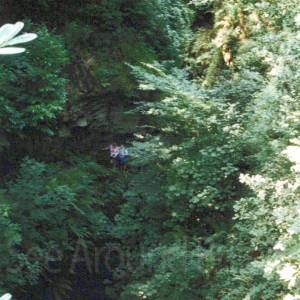 “taken before 2009”