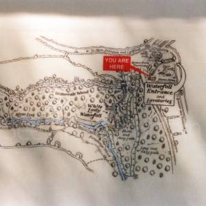 “taken before 2009”