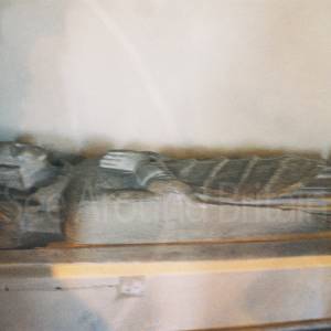 Taken before 2009