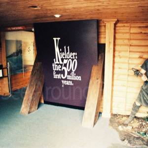 Taken before 2009