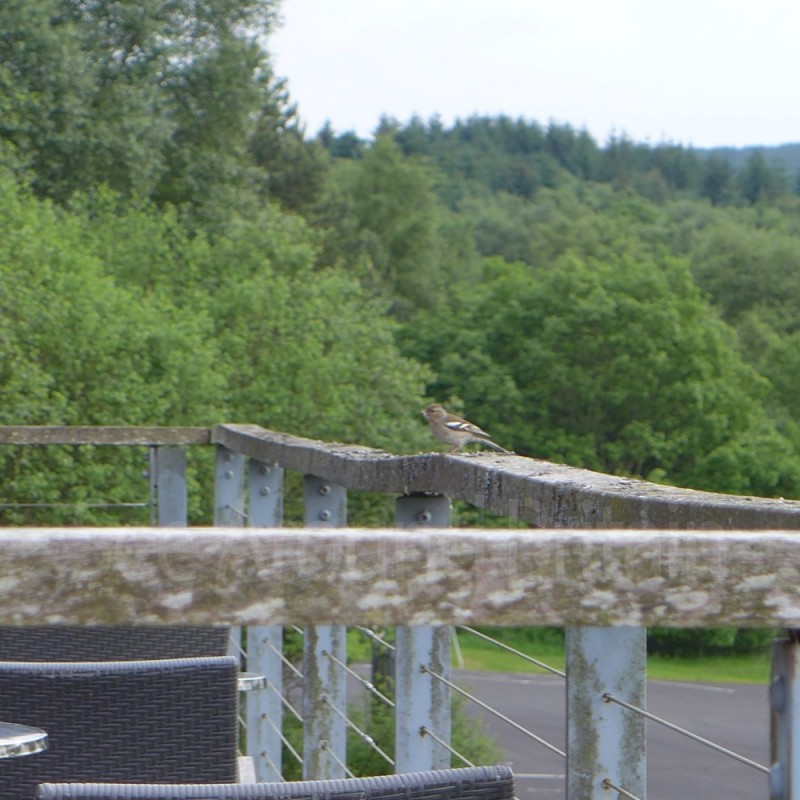 Tower Knowe Visitor Centre. Open daily. Free entry. - See Around Britain
