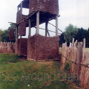 “taken before 2009”