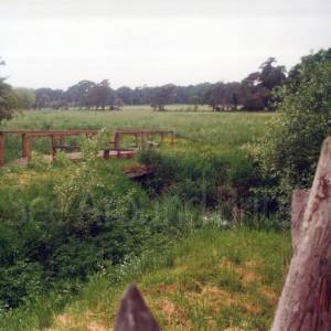 “taken before 2009”