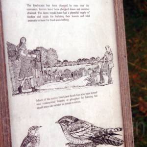 “taken before 2009”