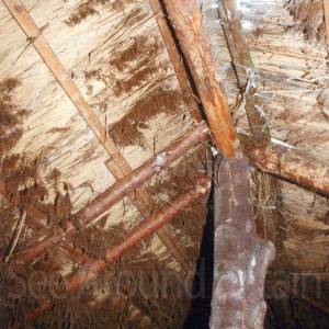 “taken before 2009”