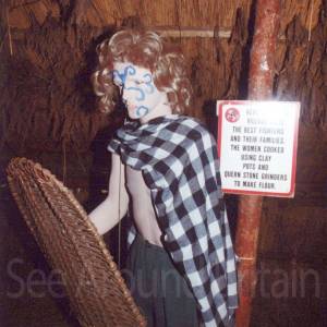 “taken before 2009”