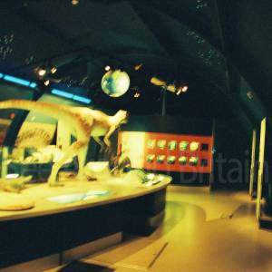 Taken before 2009