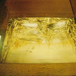 “taken before 2009”