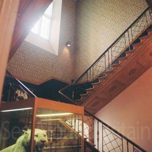 “taken before 2009”