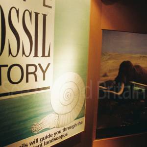 “taken before 2009”