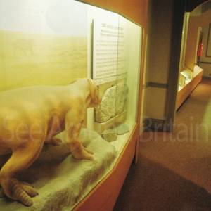 “taken before 2009”