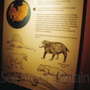 “taken before 2009”