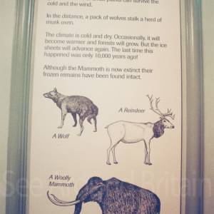 “taken before 2009”