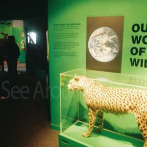 “taken before 2009”