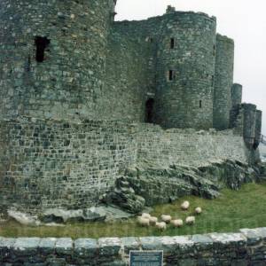 “taken before 2009”