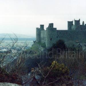 “taken before 2009”