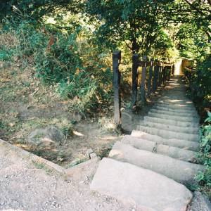 Photograph taken before 2009