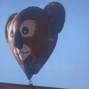 2026 Bristol Balloon Fair