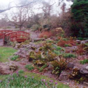 “taken before 2009”