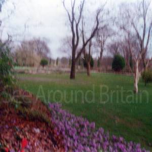 “taken before 2009”