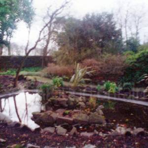 “taken before 2009”