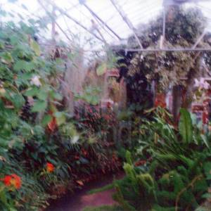 “taken before 2009”