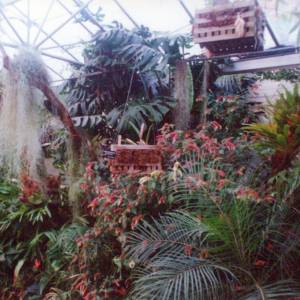 “taken before 2009”