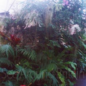 “taken before 2009”