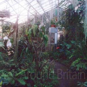 “taken before 2009”