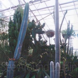 “taken before 2009”