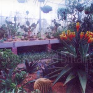 “taken before 2009”