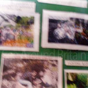 “taken before 2009”