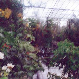 “taken before 2009”