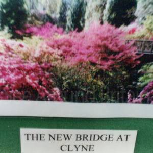 “taken before 2009”