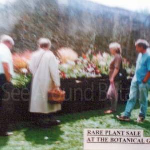 “taken before 2009”