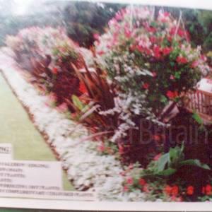 “taken before 2009”