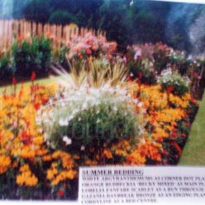 “taken before 2009”